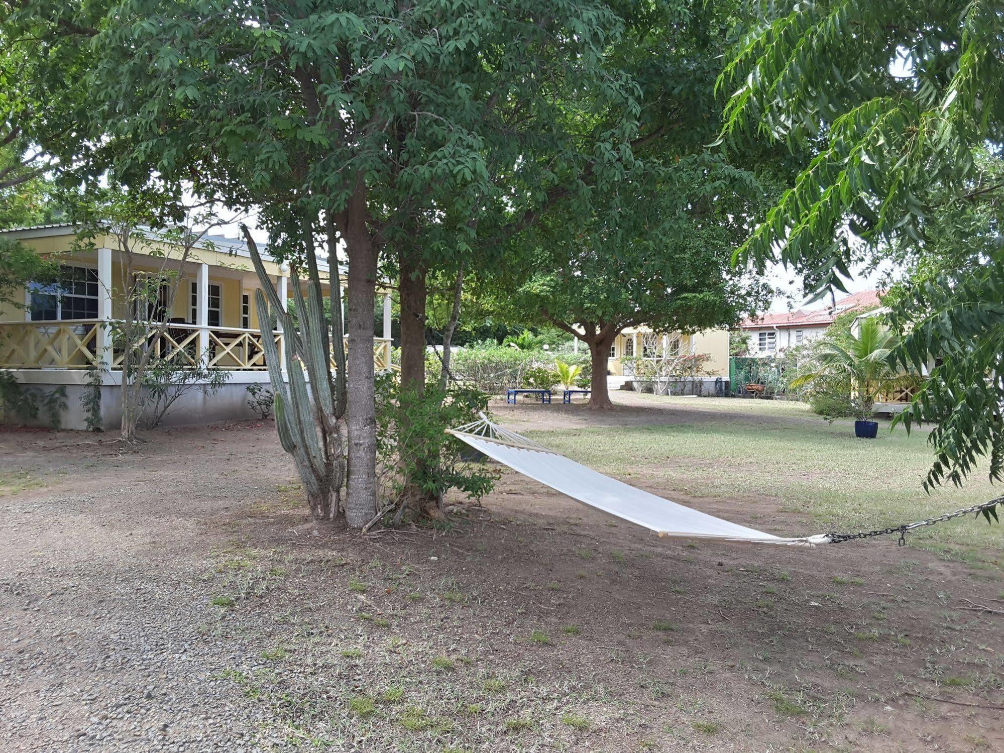 Yepton Estate Cottages St. John's Exterior photo